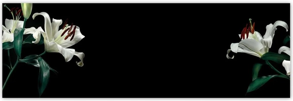 Poszterek 200x66 Gyönyörű fehér liliom