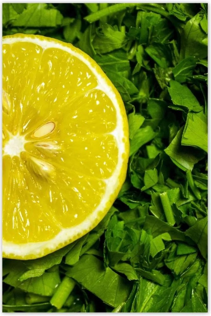 Poszterek 80x120 Citromos saláta