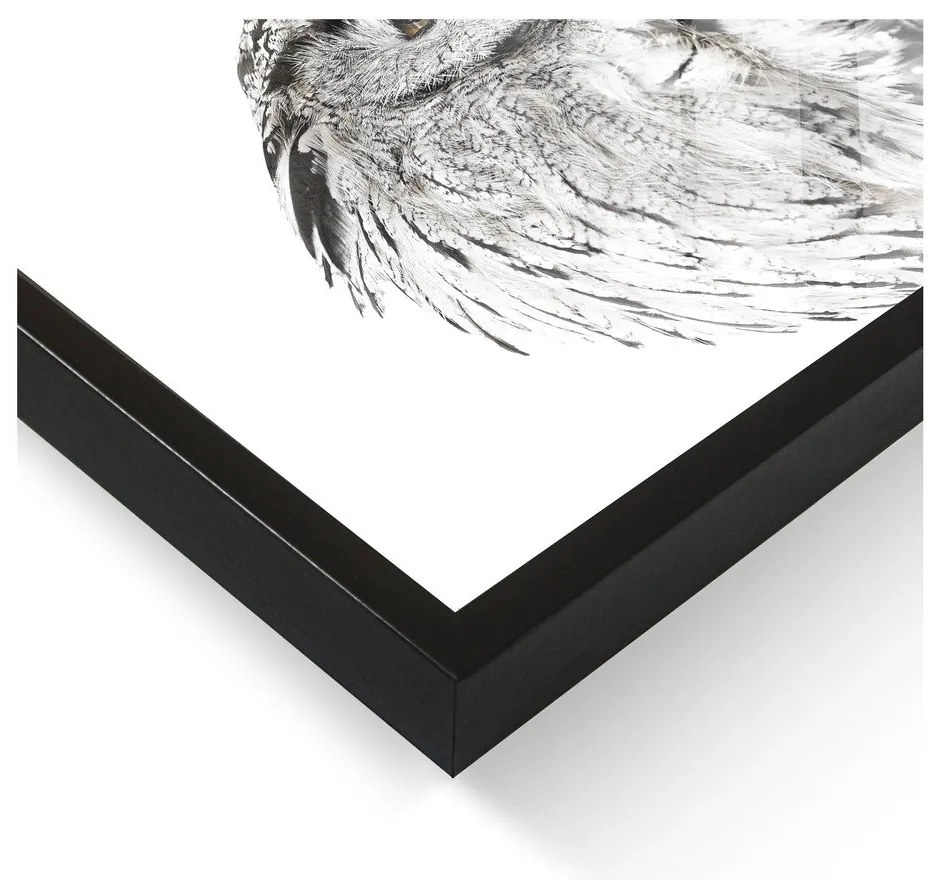 Kép 50x70 cm Owl – Styler