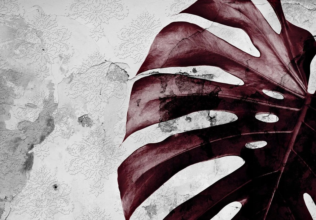 Fotótapéta levél levelek monstery 312 x 219