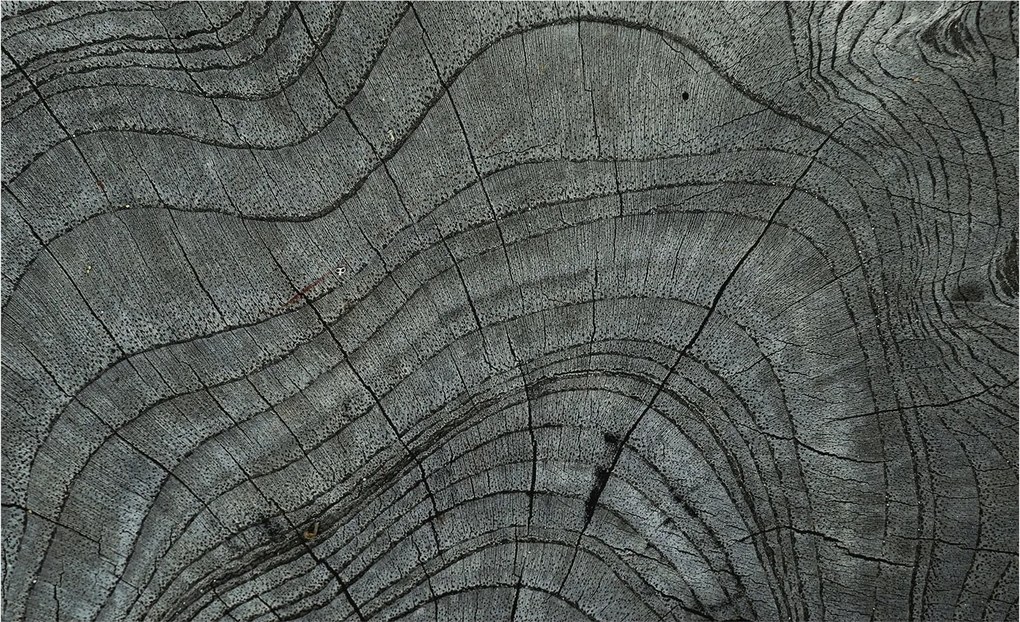 Flizelina fotótapéta Nappaliba és Hálószobába Befőttesüveg mintás 416x254 Ragasztó