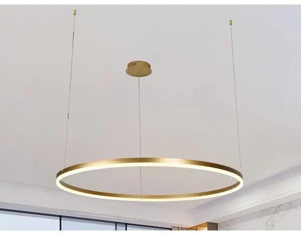 LED dimmelhető csillár zsinóron LED/55W/230V 3000-6500K + távirányítás