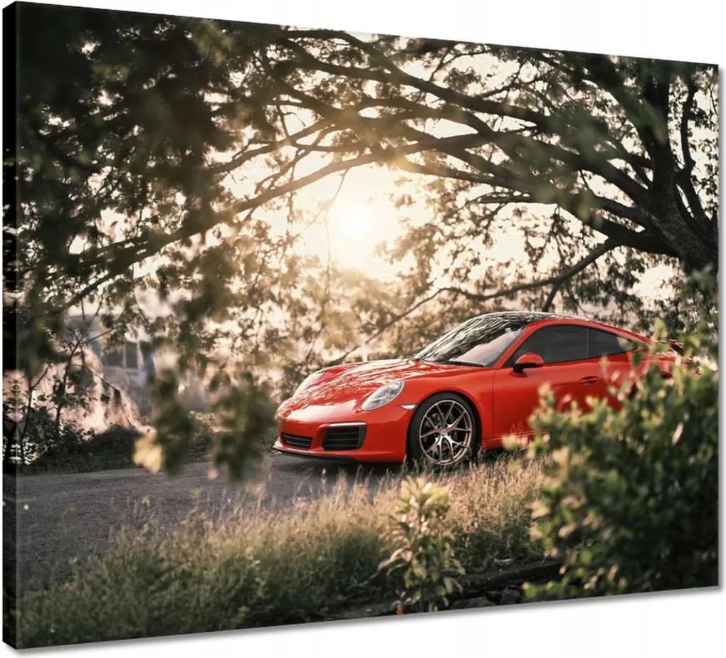 Vászonkép 50x40 Autó Fura Sport