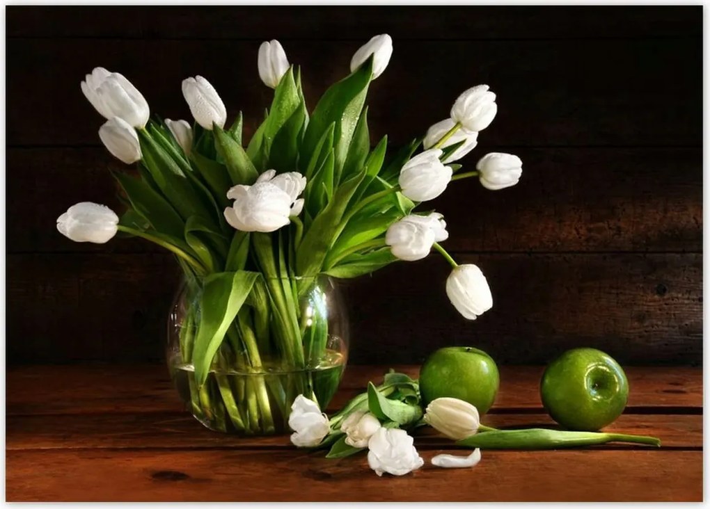 Poszterek 70x50 Fehér tulipánok Sötét háttér