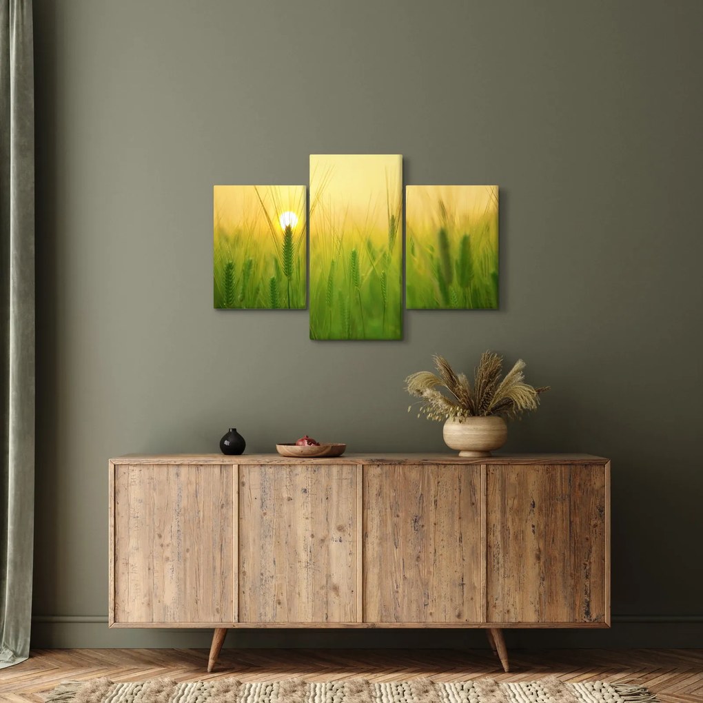 Kép - Mező gabonával (90x60 cm)