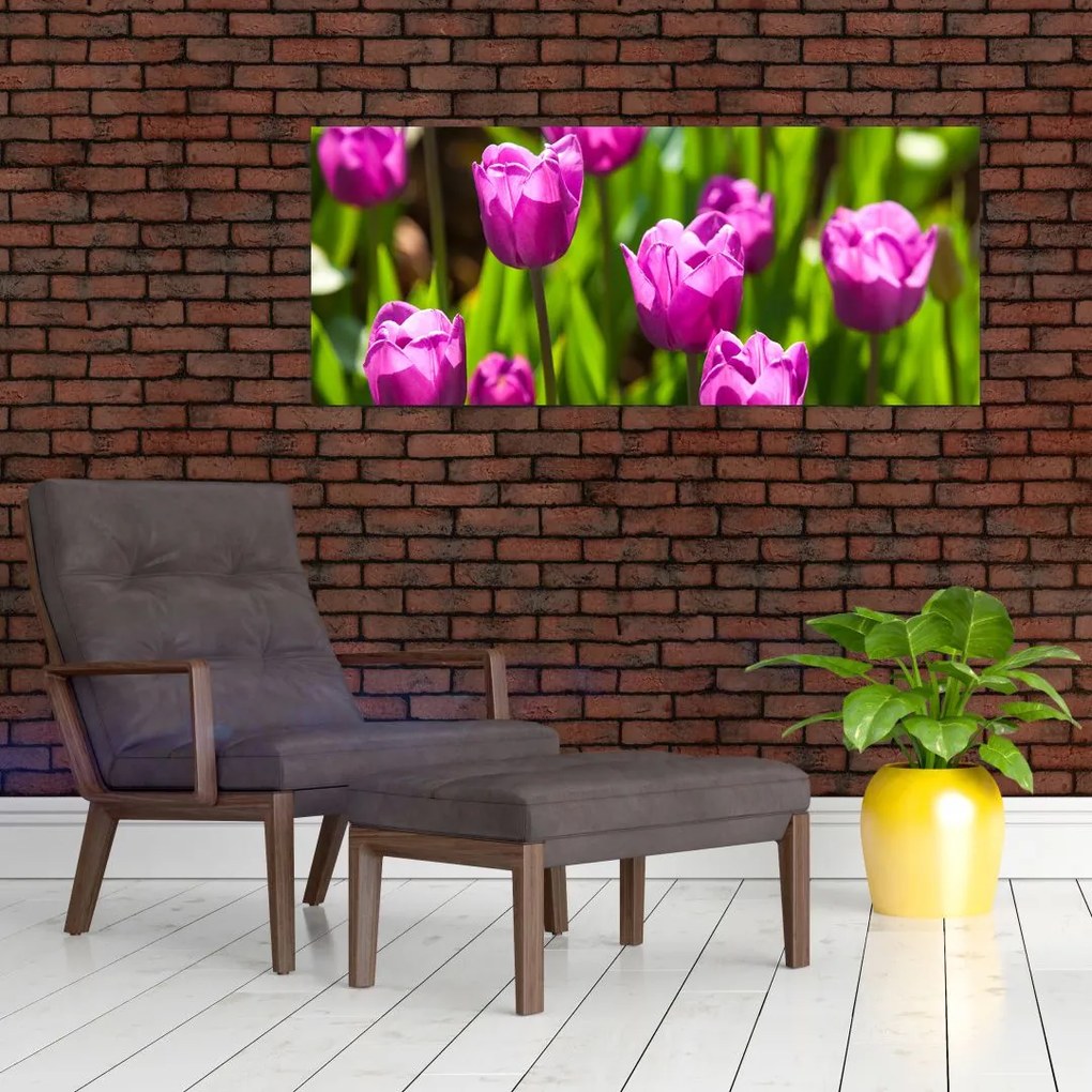 Tulipánok a réten képe (120x50 cm)