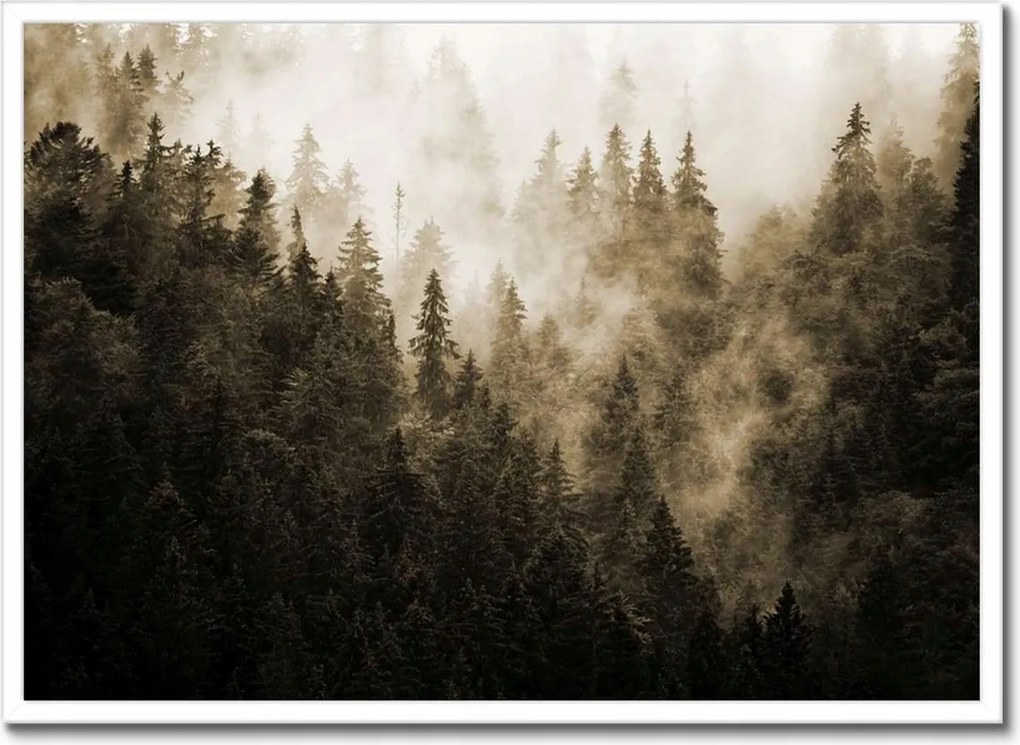 Poszter fehér keretben 70x50 Tájkép Szépia Hegyek Köd