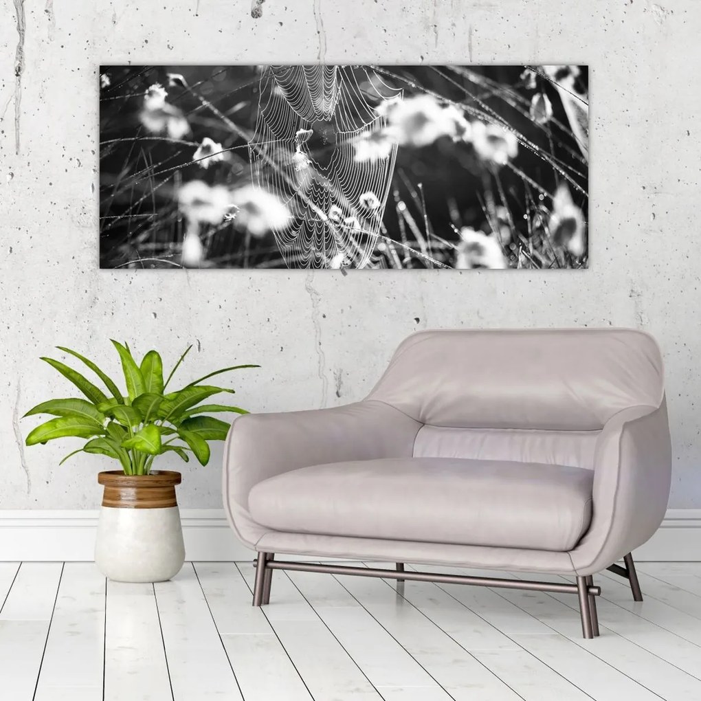 Kép - Pókháló a réten (120x50 cm)