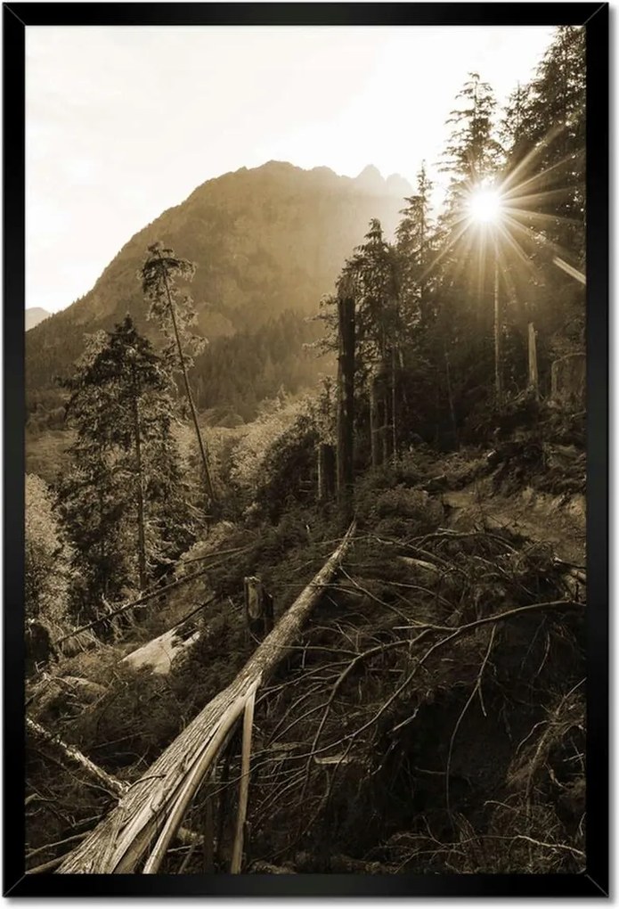 Poszterek keretben 40x60 Szépia tájkép Szépia