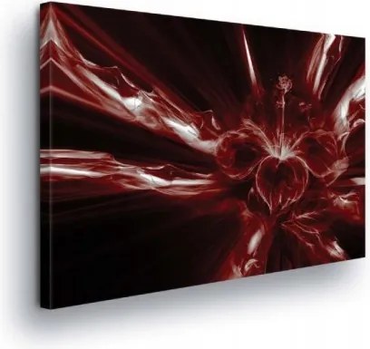 Vászonkép 80x60 Energia Robbanás Fény Mozgás Dinamika Piros Absztrakt