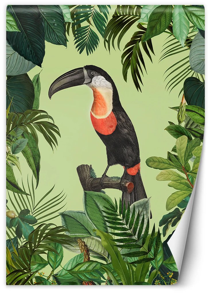 Gario Fotótapéta Parrot a zöld háttéren - Andrea Haase Anyag: Vlies, Méret: 150 x 210 cm