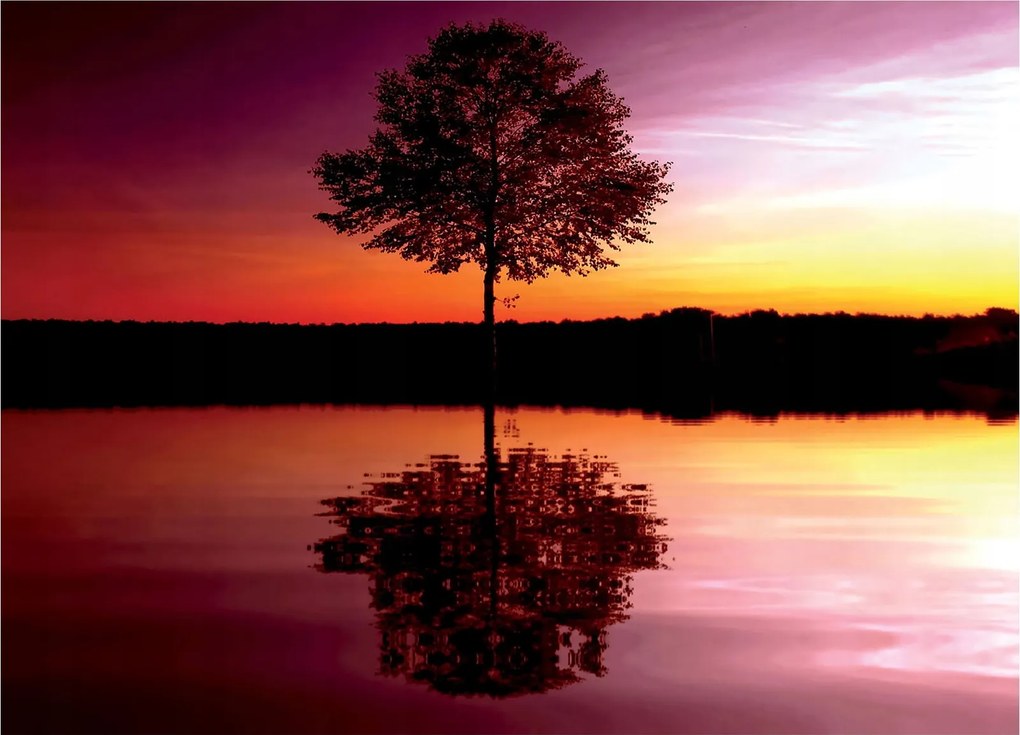 Fotótapéta Fa Nyugat Víz Ég vinil 368x254 +ragasztó