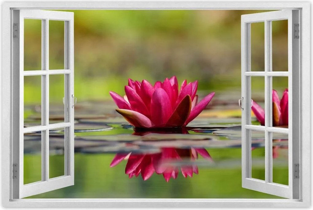 Poszterek 60x40 Vízi liliom