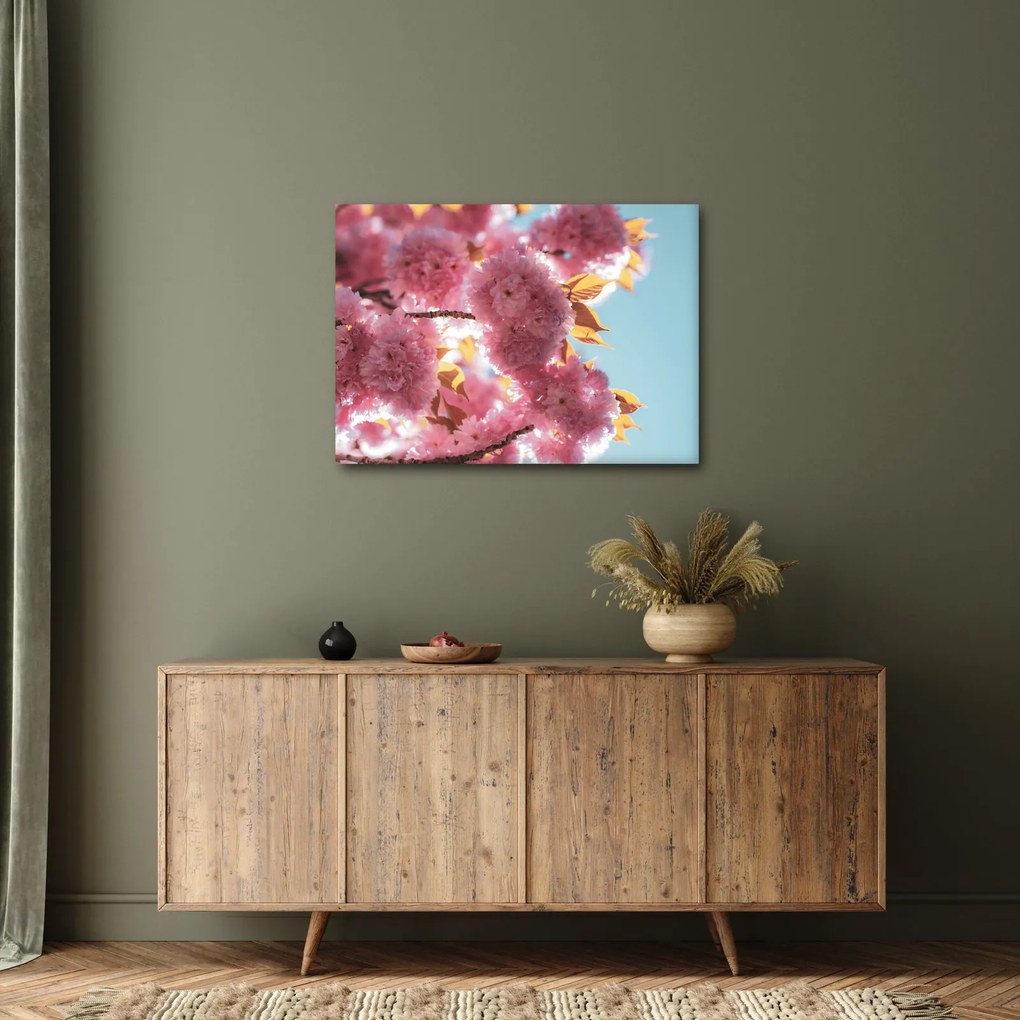 Kép - Cseresznyevirág (70x50 cm)
