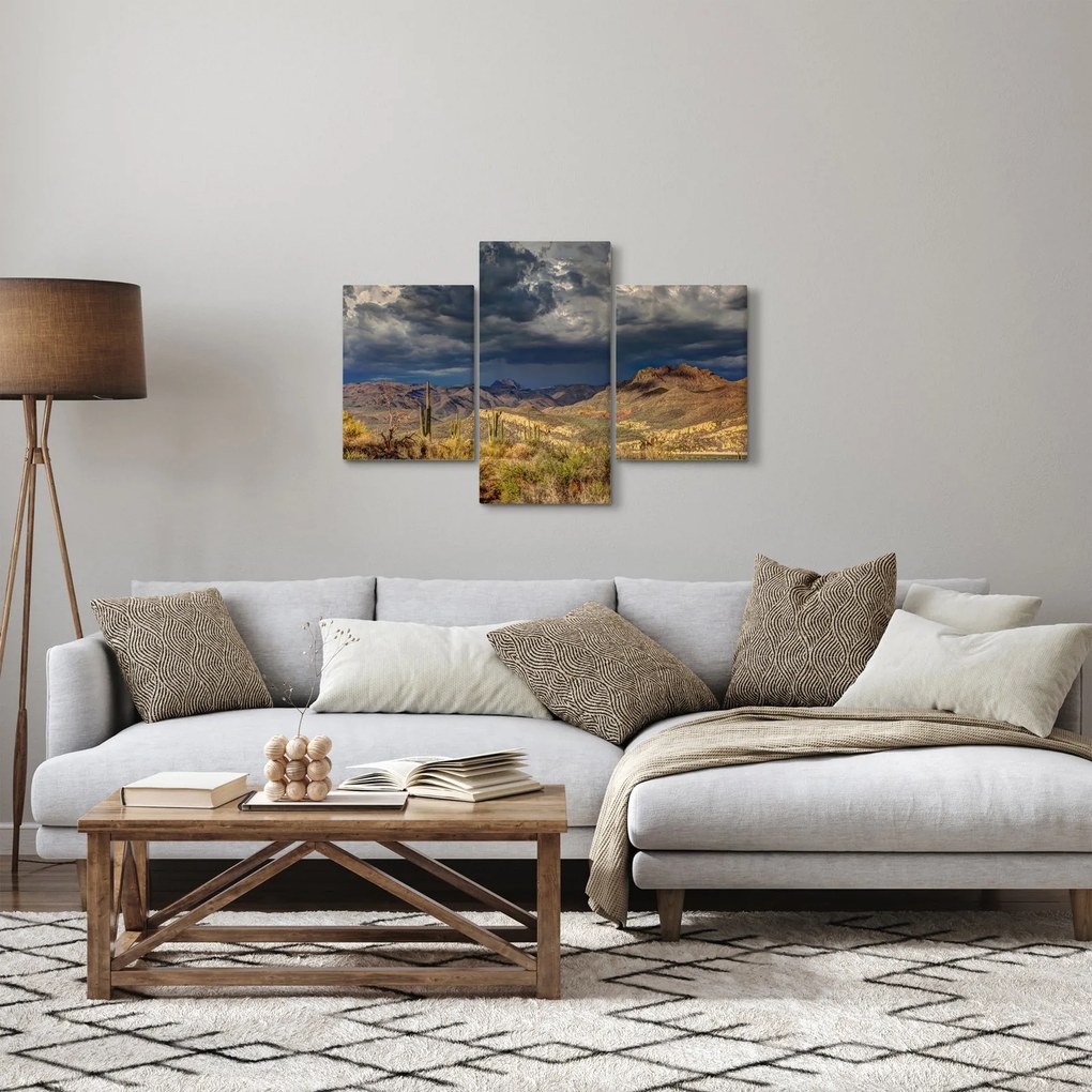 Kép - kaktuszok a természetben (90x60 cm)