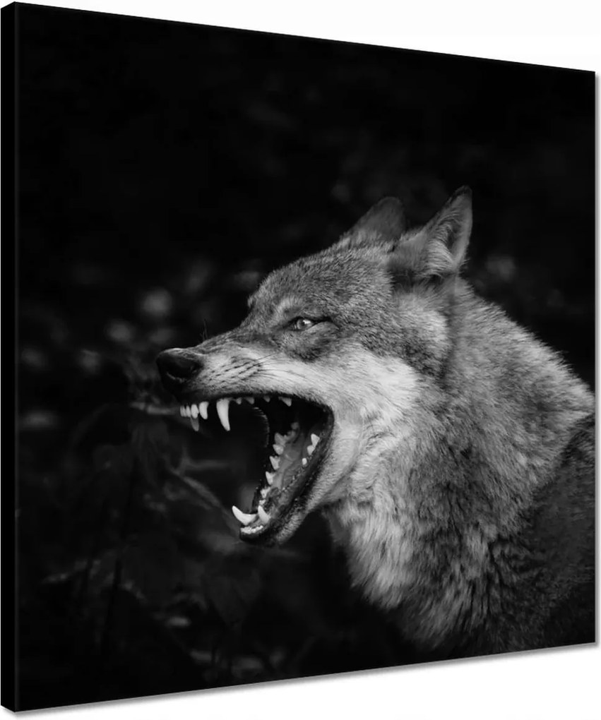 Vászonkép 40x40 Természet Emberség