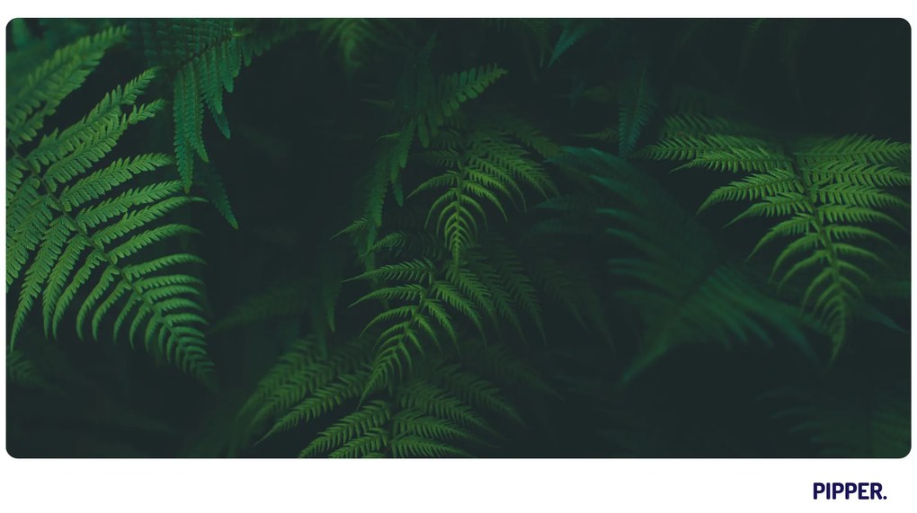 PIPPER. Öntapadós textiltapéta "Páfrány"