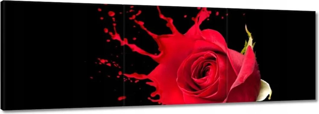 Vászonkép 60x20 Fröccsenő rózsa