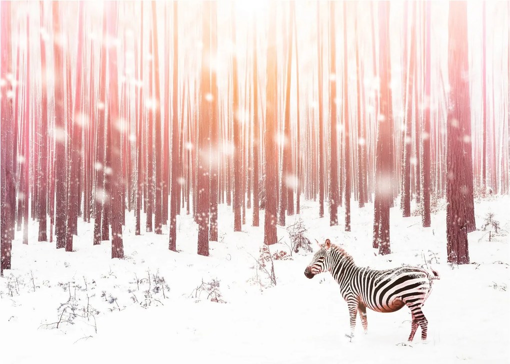 Kép - Zebra egy havas erdőben (üvegen) (70x50 cm)