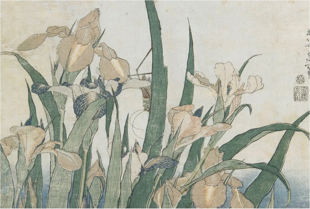 Flizelin tapéta Divatos 3D fali ragasztó Finom íriszek 104x70 Ragasztó