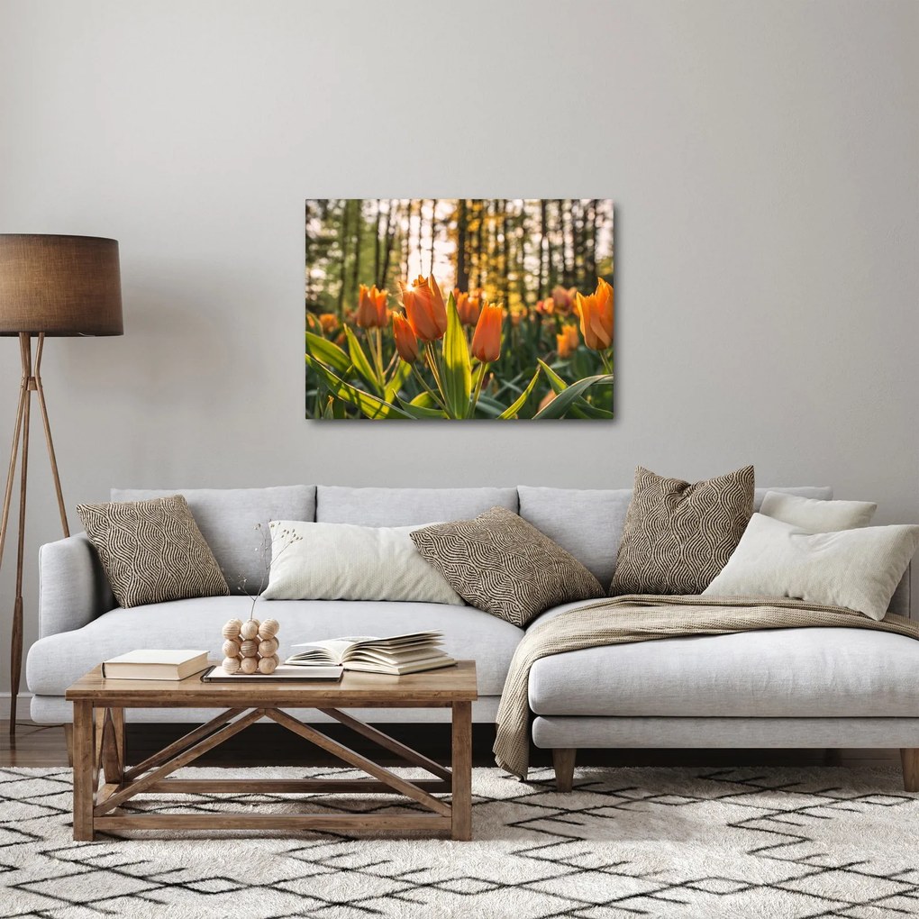 Narancssárga tulipán képe (70x50 cm)