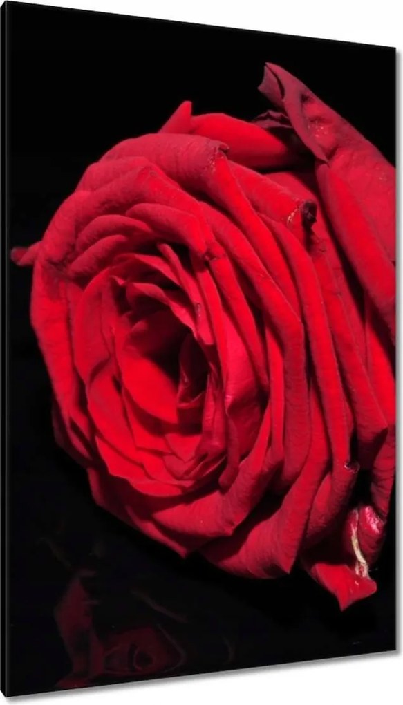 Vászonkép 80x120 Nőnap Ajándék Love