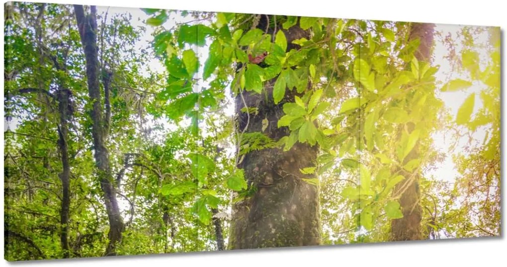 Képek 180x90 Gyalogtúra