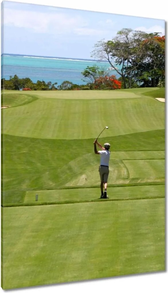 Festmények 80x120 Golfozó a mezőn