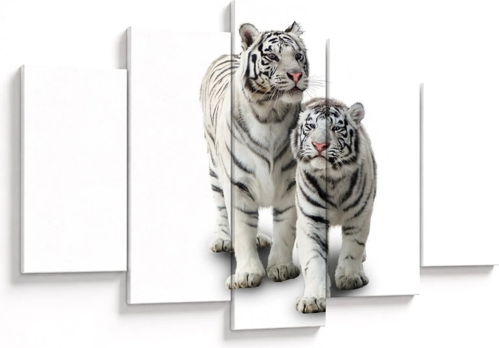 Kép - A fehér tigris (150x105 cm)