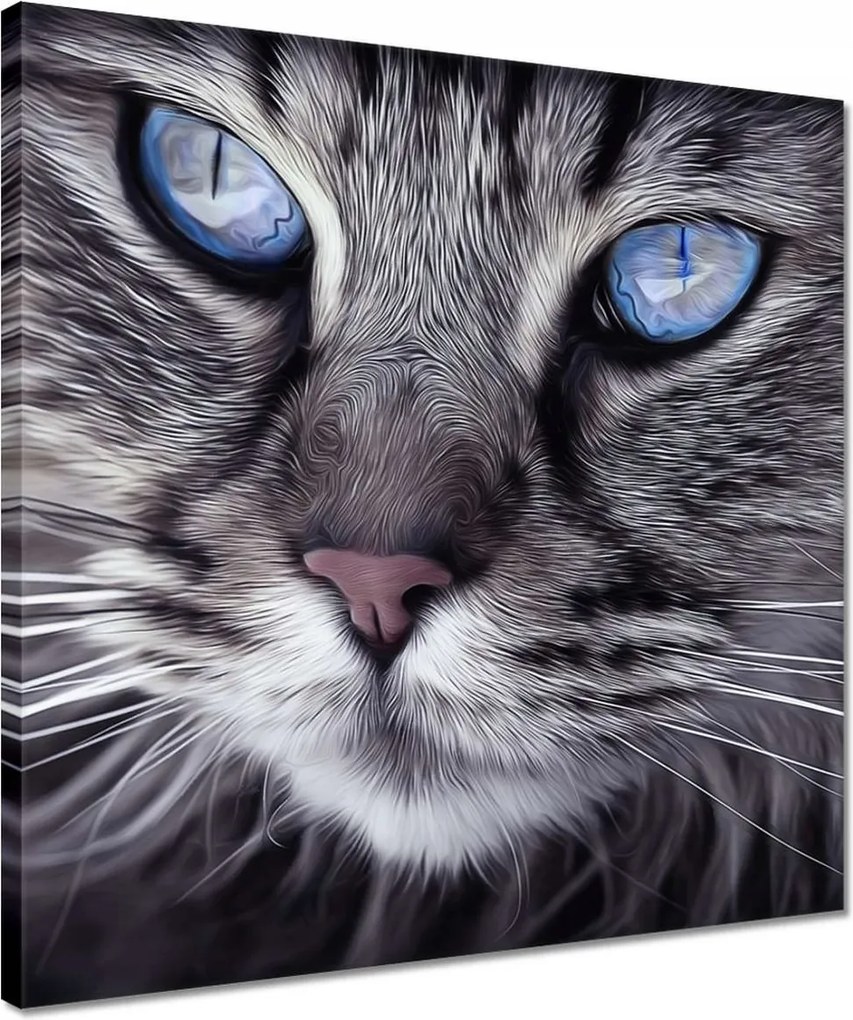 Vászonkép 40x40 Cica Cicák