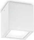 IDEAL LUX 251523 TECHNO Modern Kültéri Mennyezeti Lámpa GU10 IP54