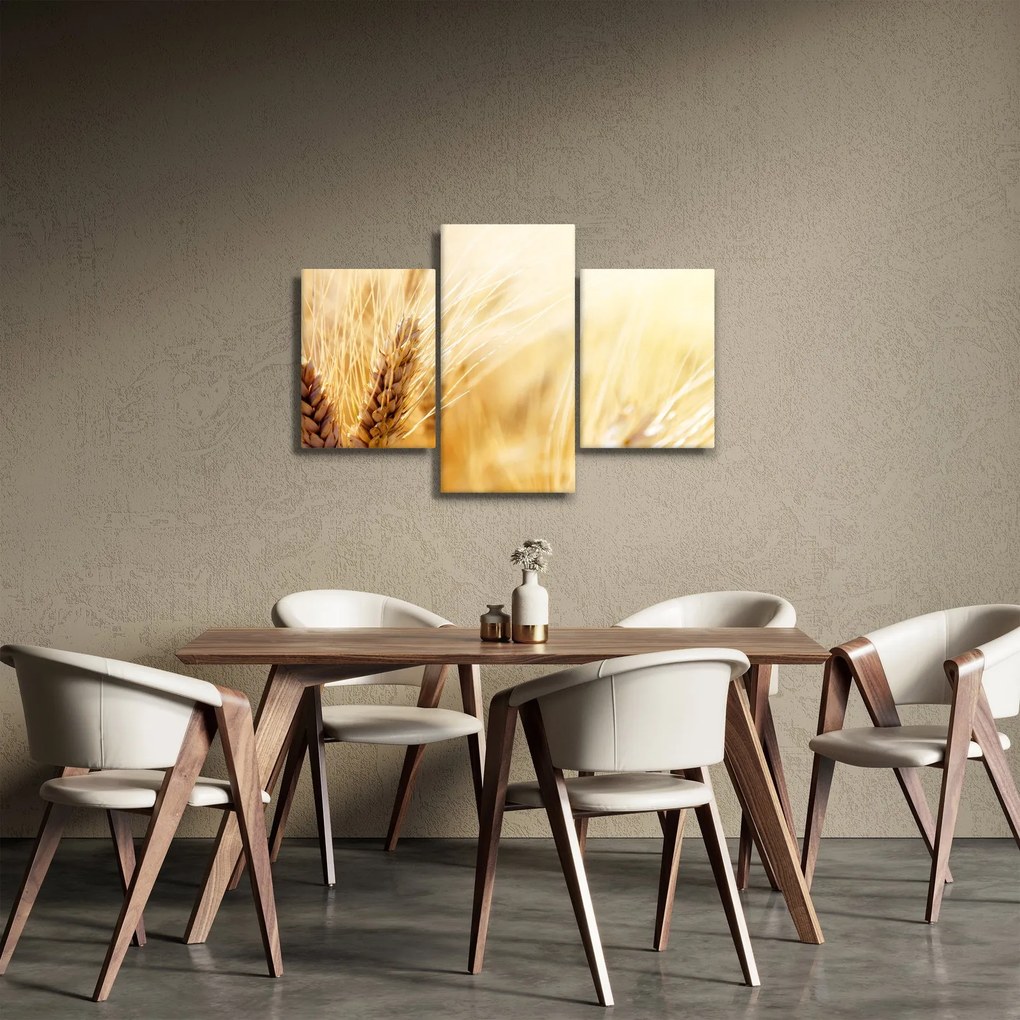 Kép - részlet gabona (90x60 cm)