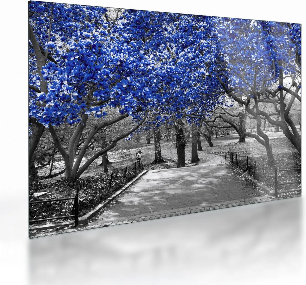 Kép - Kék fák, Central Park, New York (üvegen) (70x50 cm)