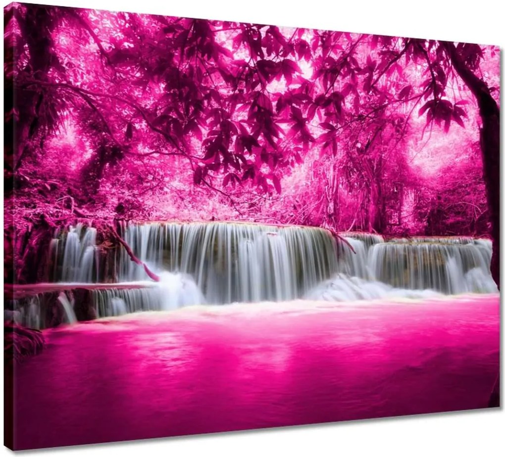 Vászonkép 50x40 Rózsaszín vízesés Tájkép