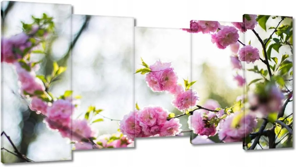 Vászonkép 150x80 Rózsaszín virágok Gyönyörű