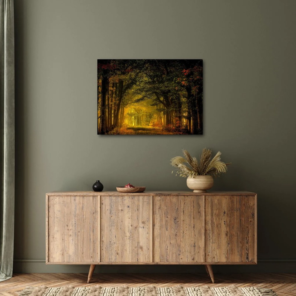 Erdő képe (70x50 cm)