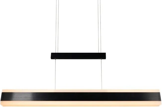 Matt fekete LED függőlámpa fém búrával Arcola – Trio