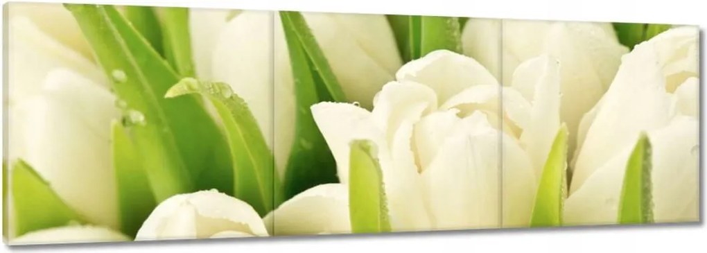 Vászonkép 150x50 Finom tulipánok