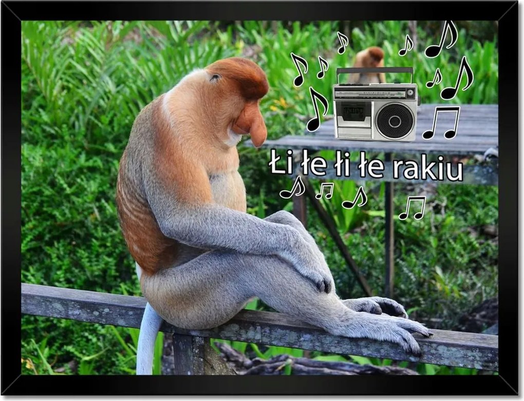 Poszterek keretben 40x30 Halász János