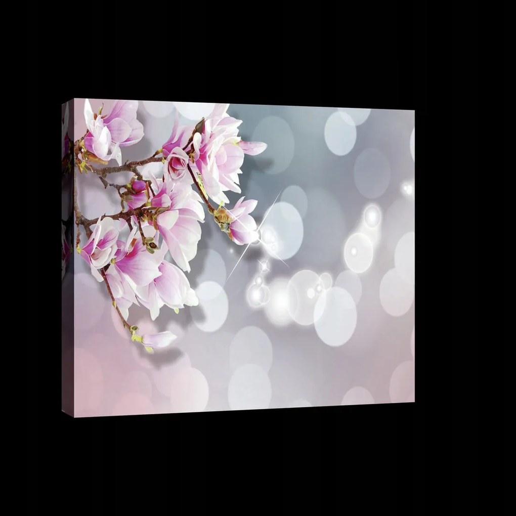 Vászonkép 80x60 Finom virágok rózsaszín magnólia bokeh tavasz virágzás
