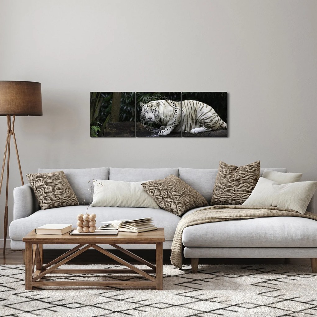 Kép - albínó tigris (órával) (90x30 cm)