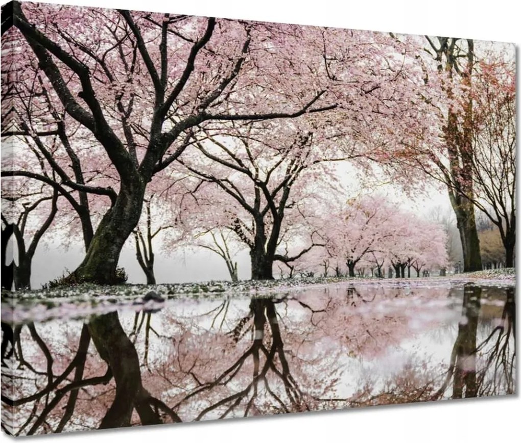 Vászonkép 40x30 Fa Fák Kilátás