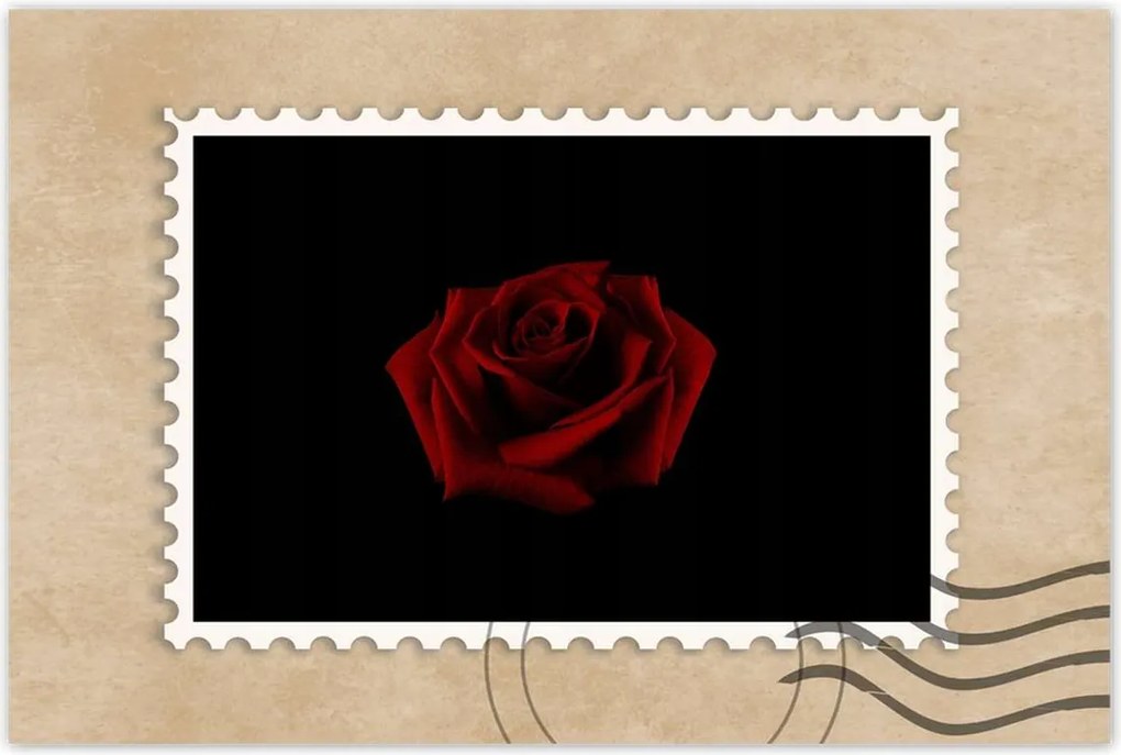 Poszter 60x40 Gyönyörű vörös rózsa