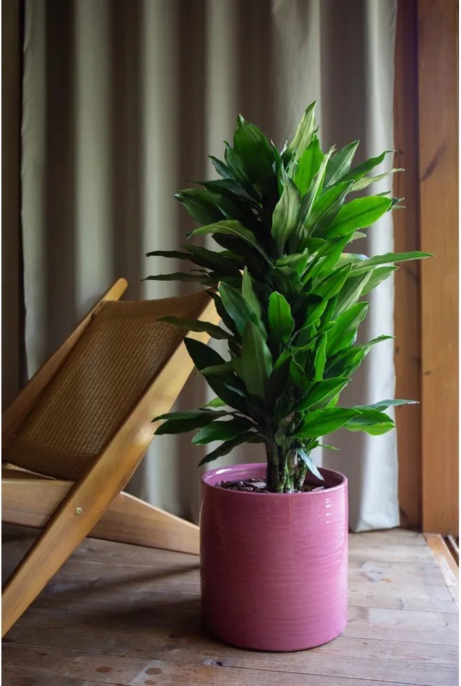 Kerámia kézzel készített kaspó ø 18 cm Fortuna – Artevasi