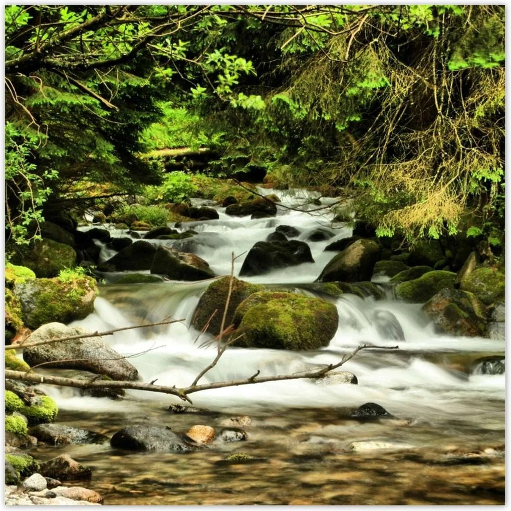 Poszterek 70x70 Patak a hegyekben