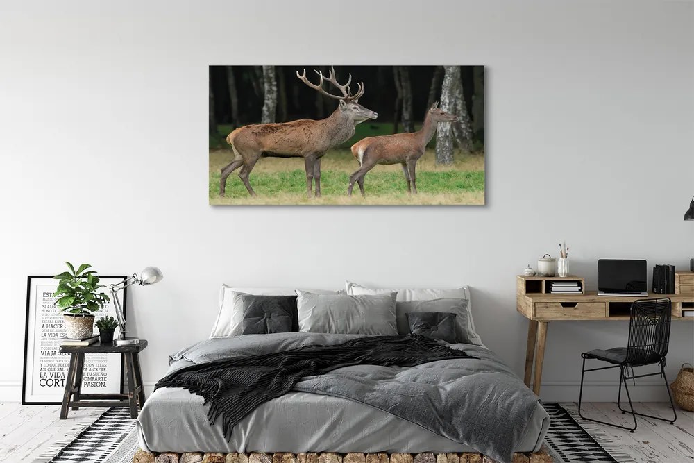 Canvas képek szarvas erdei 140x70 cm