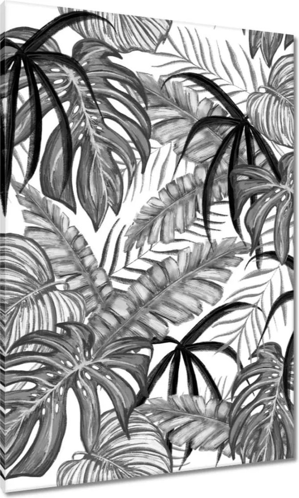 Vászonkép 70x100 Monstera Zöld levél