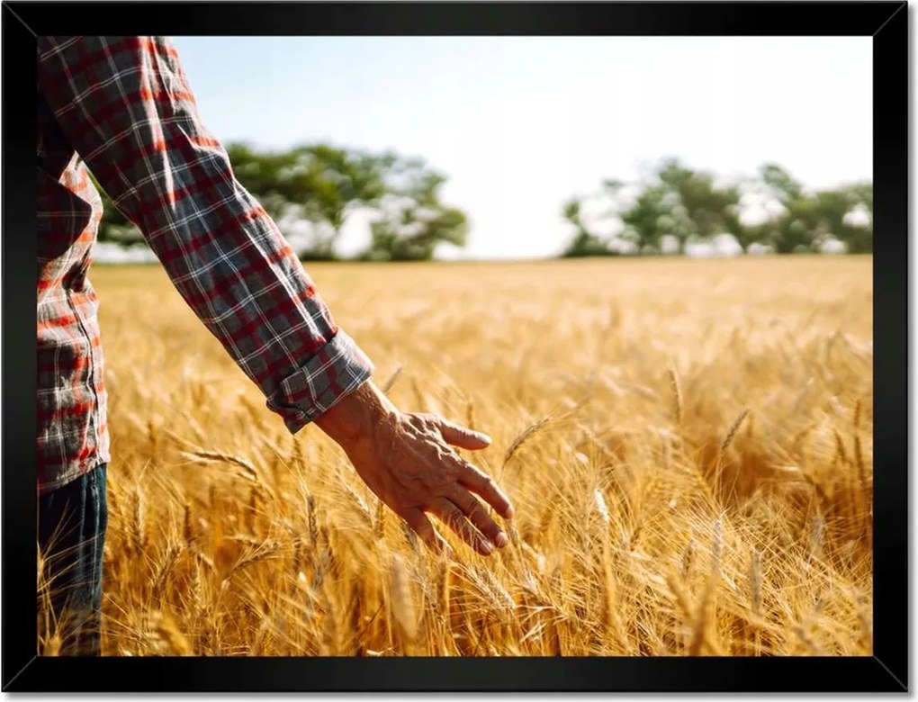 Poszterek keretben 40x30 Séta a gazda a gabonában