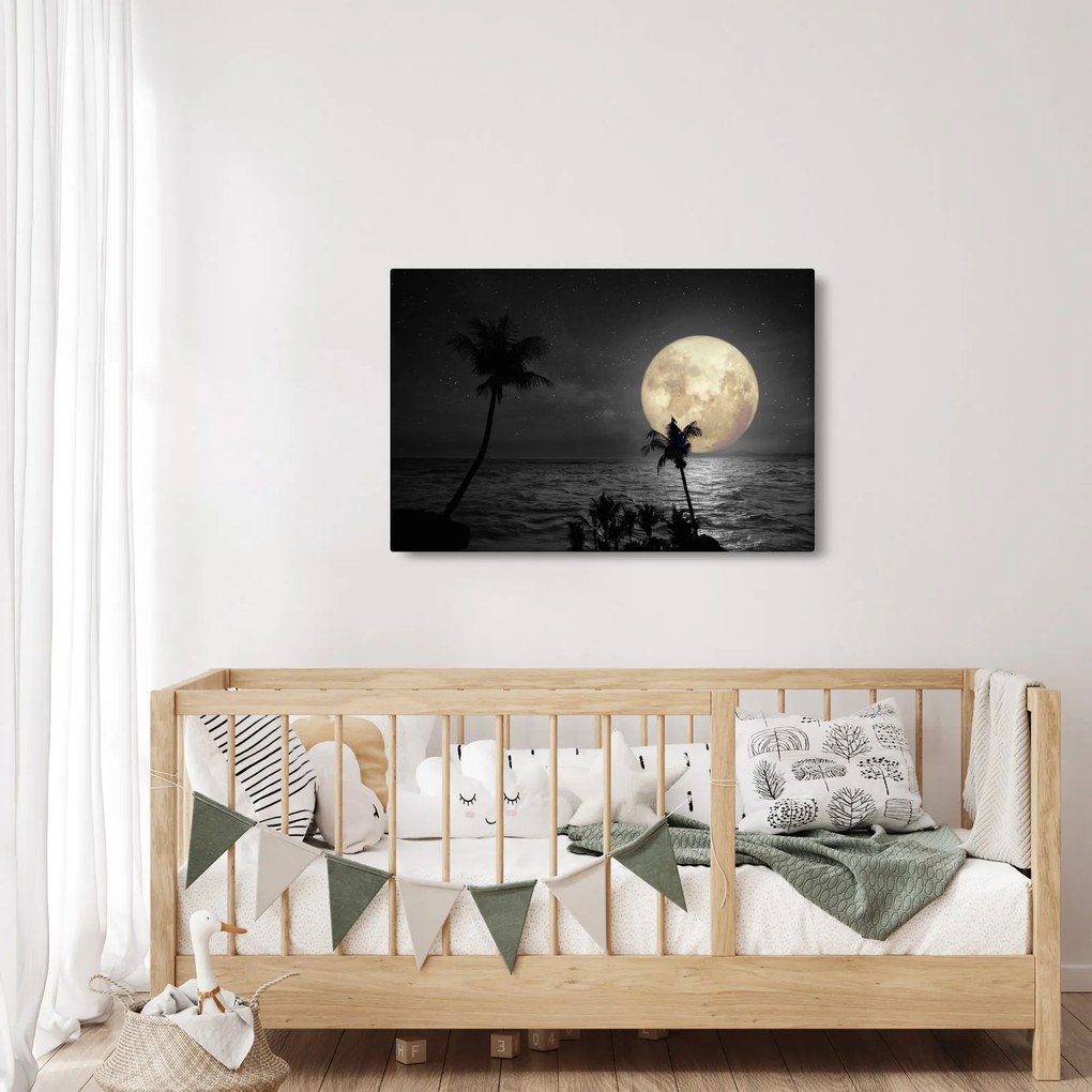 Kép - A strand a telihold alatt szürke tónusokkal (90x60 cm)