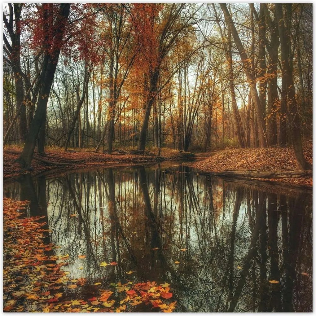 Poszterek 140x140 Őszi táj Tájkép